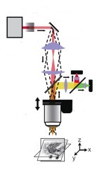 Micrscopio 3D (schema)