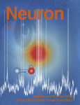 Copertina della rivista Neuron