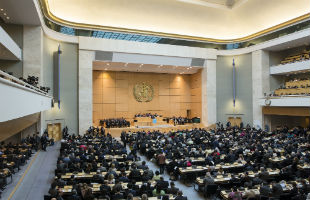 Assemblea Generale OMS (Foto: WHO)