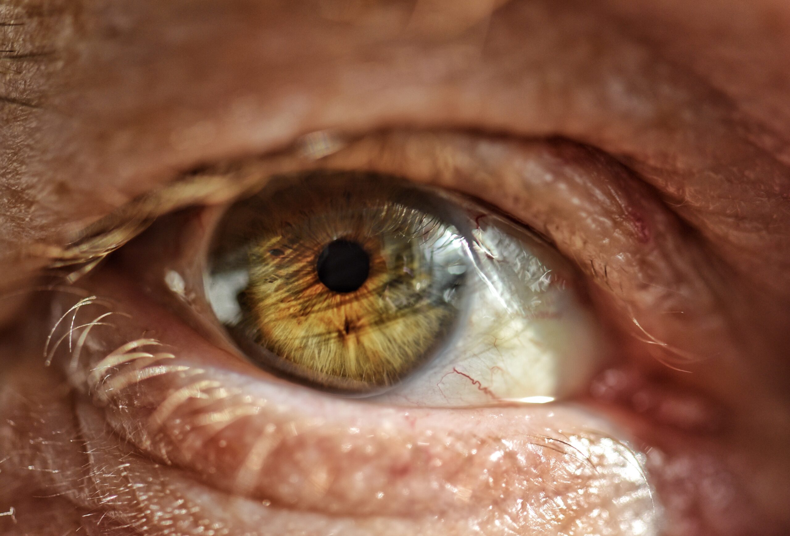 occhio verde di uomo